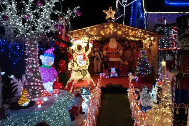 dịch vụ trang tri noel