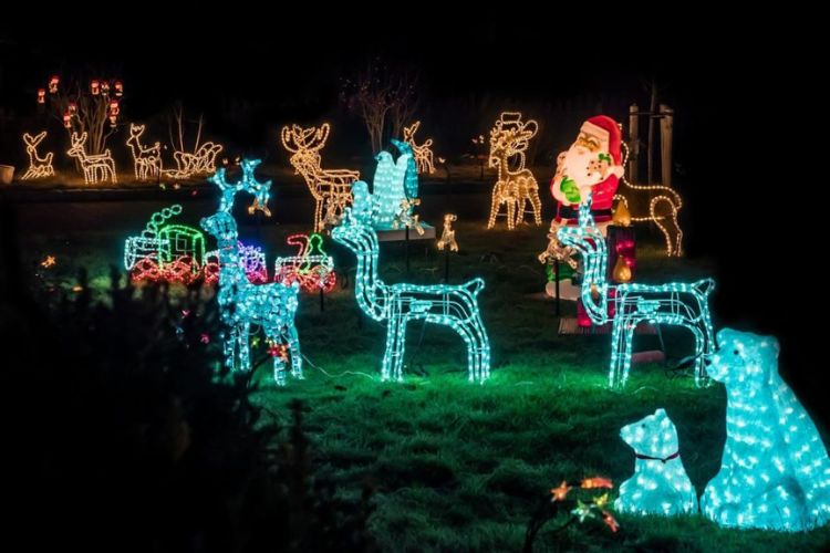 dịch vụ trang trí noel